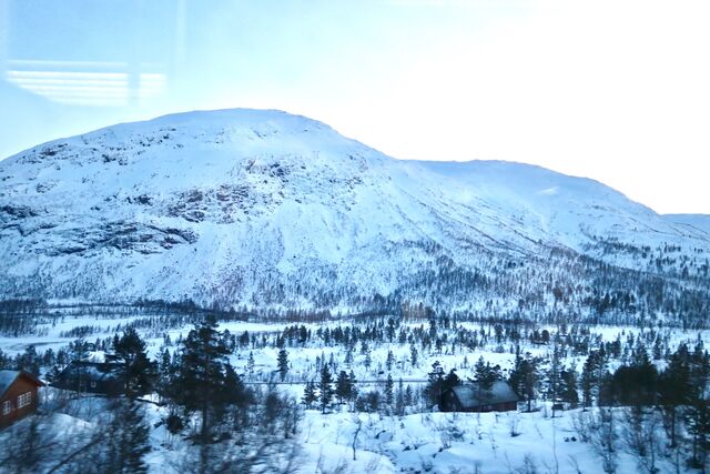 View from the Bergen Railway