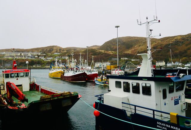 Mallaig Harbour