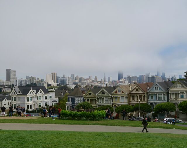 The Painted Ladies