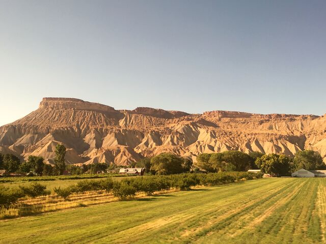 Palisade, Colorado