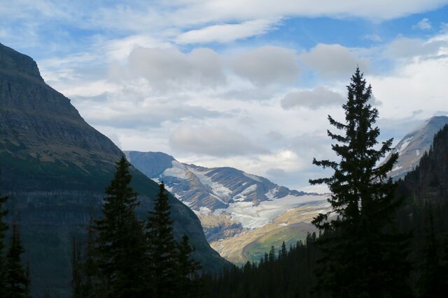 Jackson Glacier