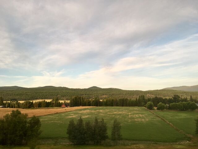 Approaching Whitefish