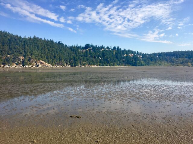 Bellingham Bay, Washington