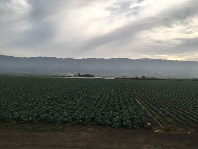 Salinas, California