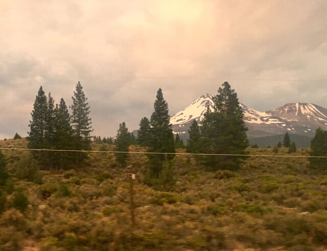 Mount Shasta