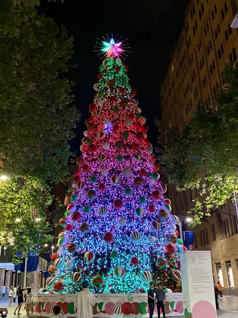 Christmas tree in Martin Place