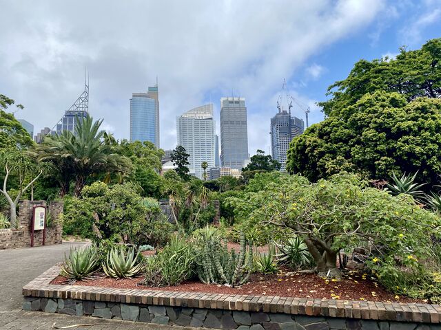 Royal Botanic Garden