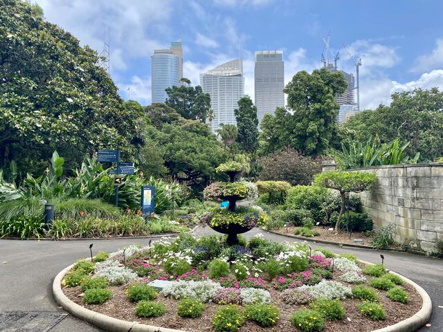 Royal Botanic Garden