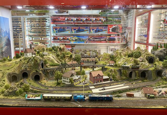 Model train village in the Hobbyco store