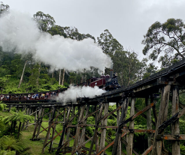 Monbulk Creek Trestle Bridge