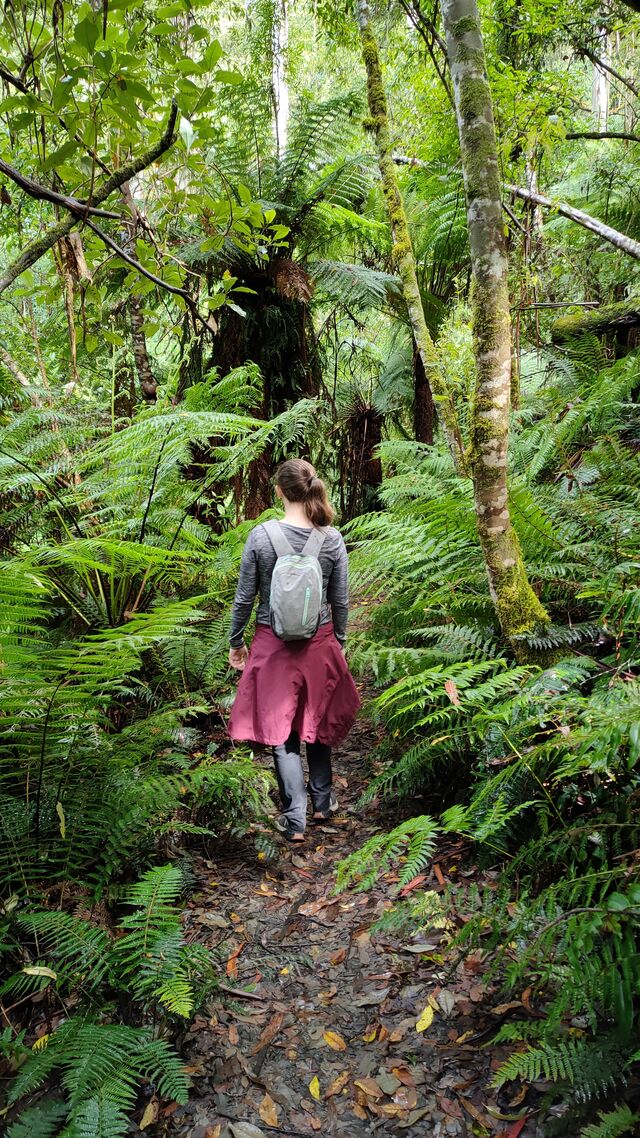 Walking Trail in Gembrook