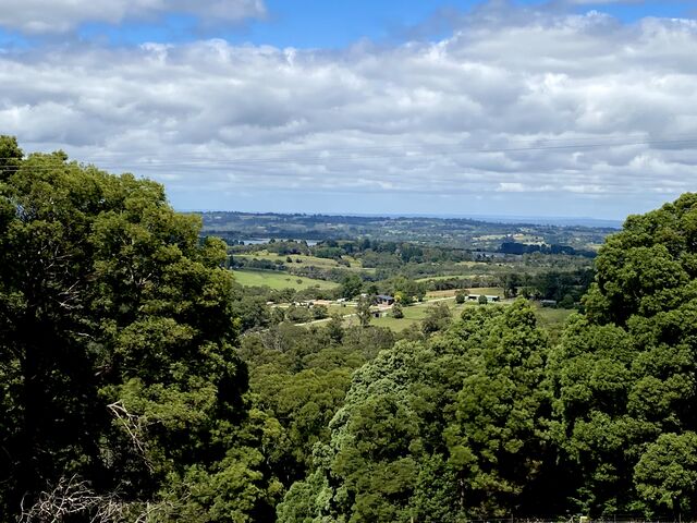 View shortly after departing Menzies Creek Station