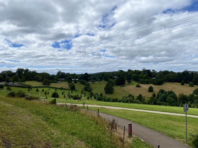 Views from Puffing Billy