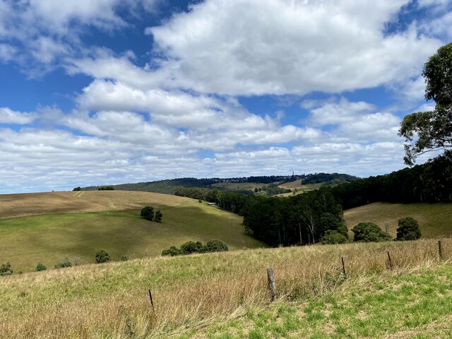 Views from Puffing Billy