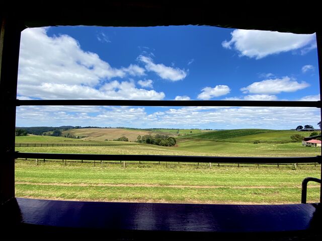 Views from Puffing Billy