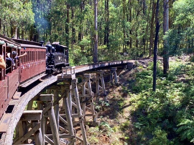 Puffing Billy Bridge No. 8 Wright Trestle