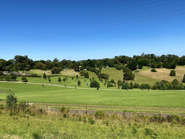 Views from Puffing Billy