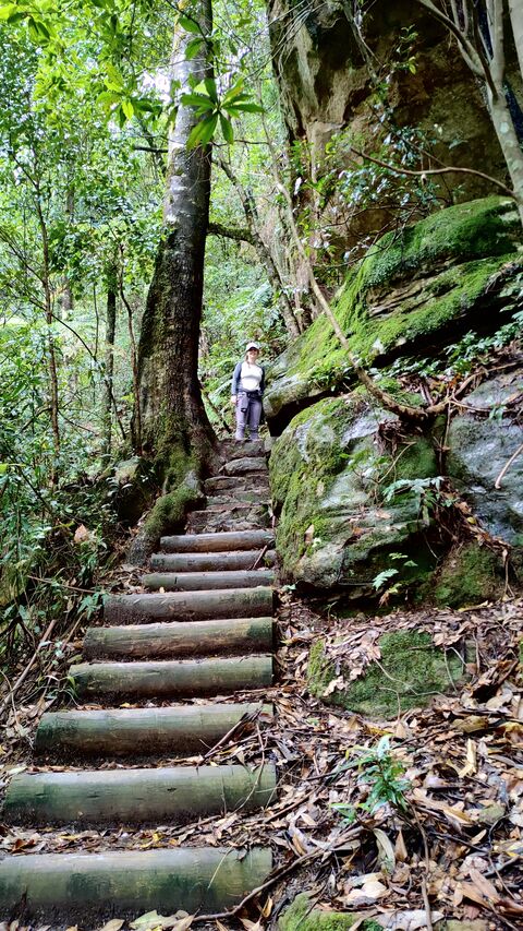 Hiking in the Blue Mountains