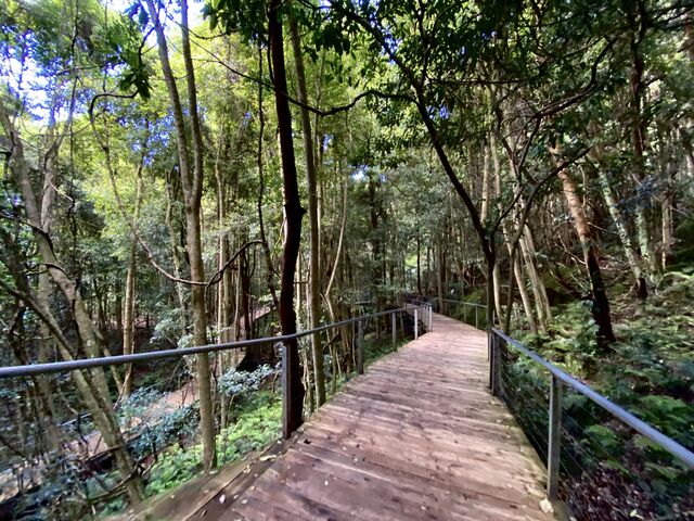 The Scenic Walkway