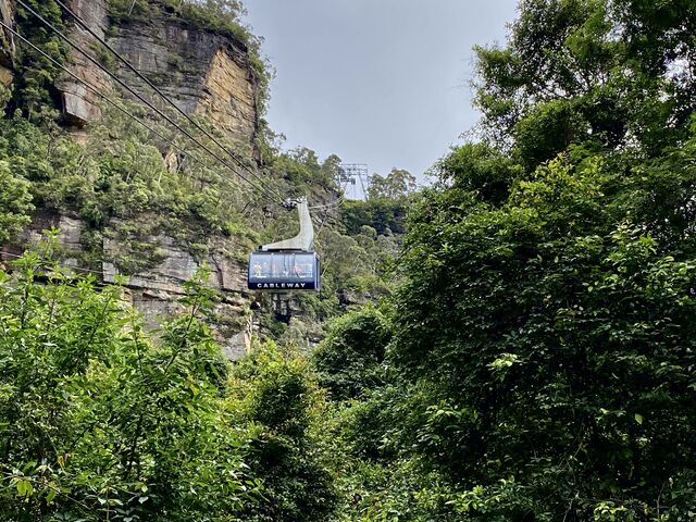 The Scenic Cableway