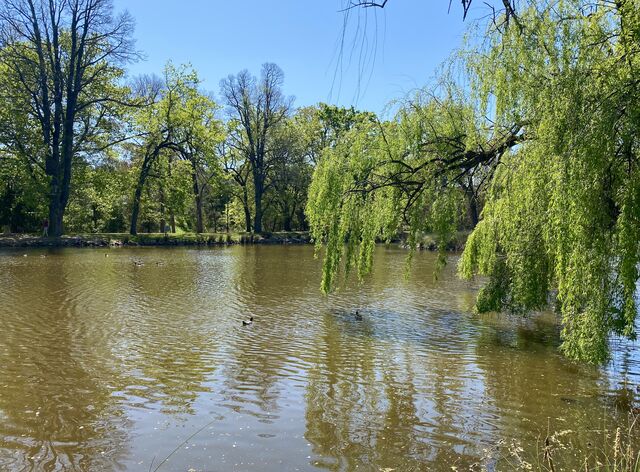 Lake Joanna