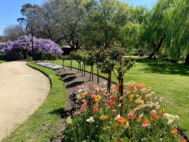 Castlemaine Botanical Gardens