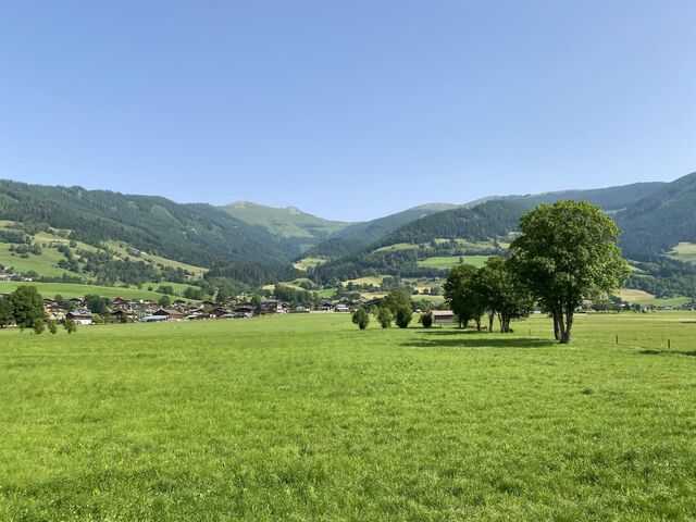 Views from the Pinzgau train