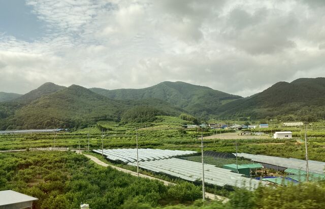 Views from the Daegu–Busan train