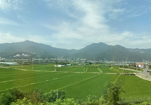 Views from Daejeon—Daegu train