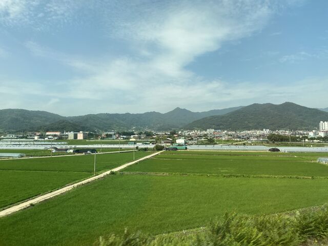Views from Daejeon—Daegu train