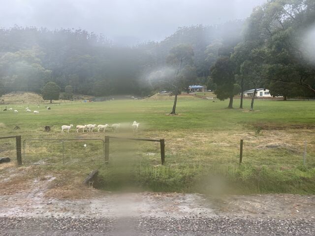 Views from the train