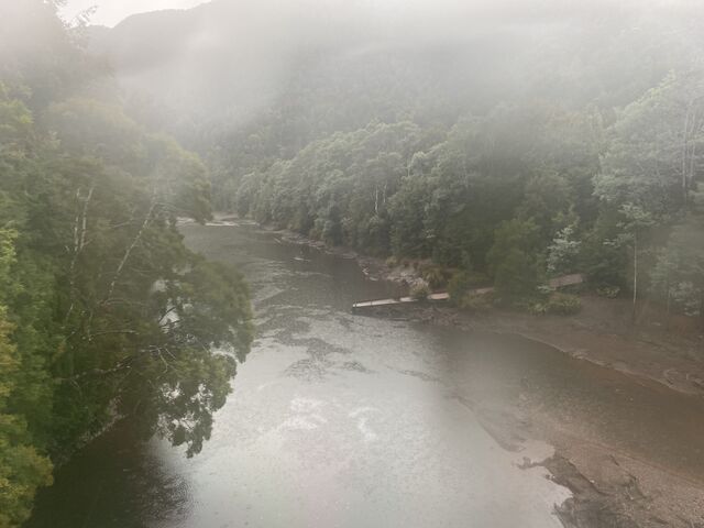 Views from the train