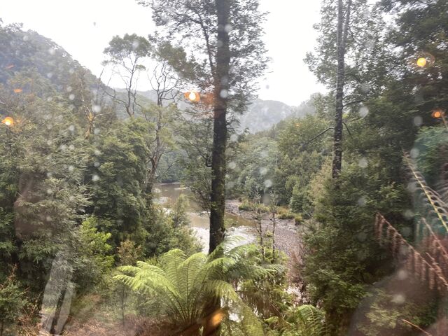 Views from the train