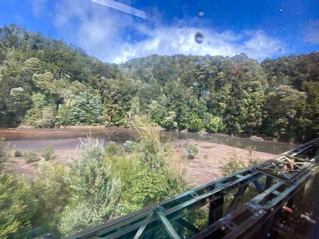 Views from the train: Travelling alongside the King River