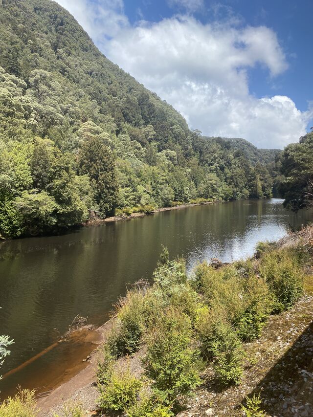Views from the train: Travelling alongside the King River