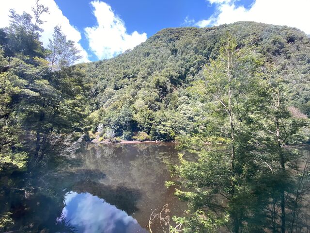 Views from the train: Travelling alongside the King River
