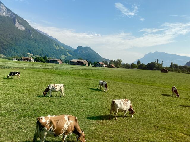 Near Walenstadt, Switzerland