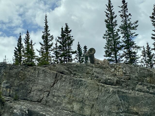 Wildlife of Alberta