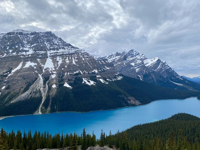 Peyto Lake