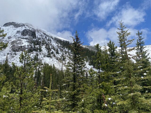 Sulphur Skyline Trail and Miette Hot Springs 