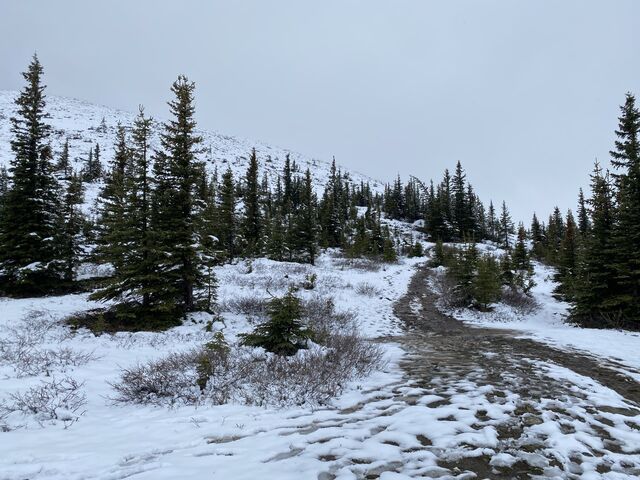 Sulphur Skyline Trail and Miette Hot Springs 