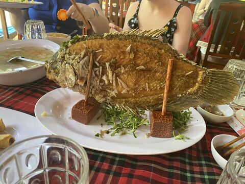 Fish lunch in the Mekong Delta region
