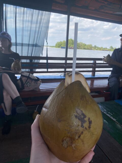 Coconut on the Mekong River