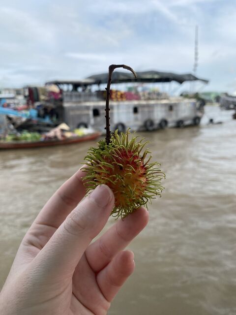 Rambutan on the Cần Thơ River