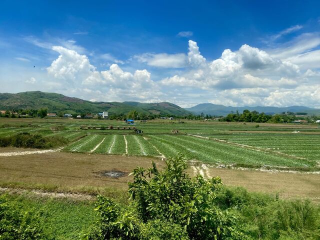 Đức Phổ District