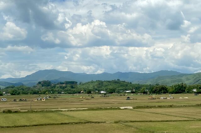 Graves scattered across the land in the Đức Phổ District