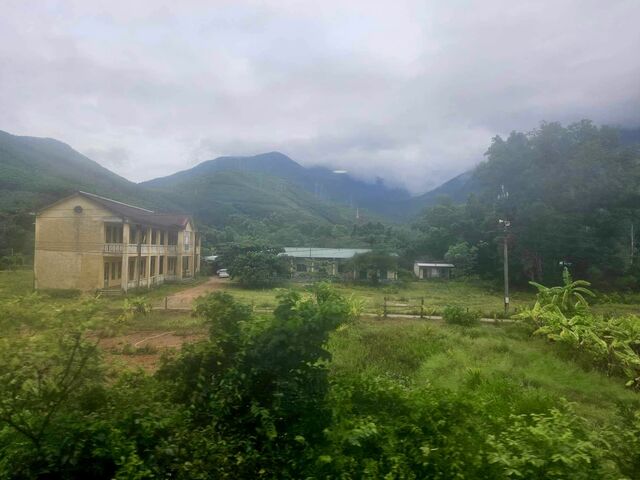 Settlement in the jungle