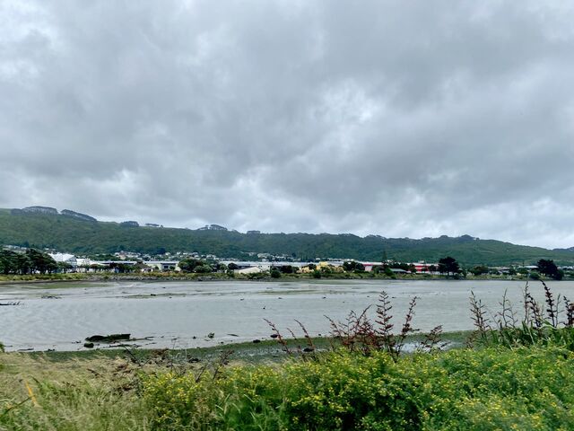 Porirua Harbour 