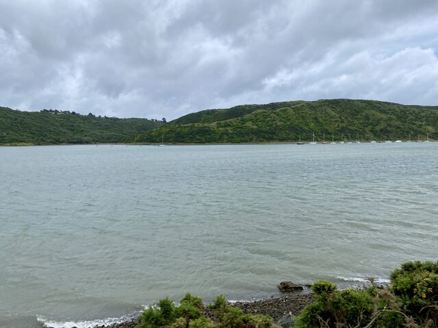 Porirua Harbour