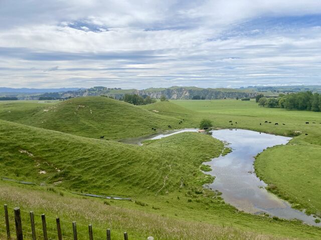 Stream connected to the Rangitīkei River